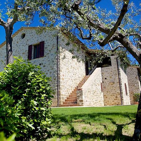 Agriturismo Le Colombe Asyż Zewnętrze zdjęcie