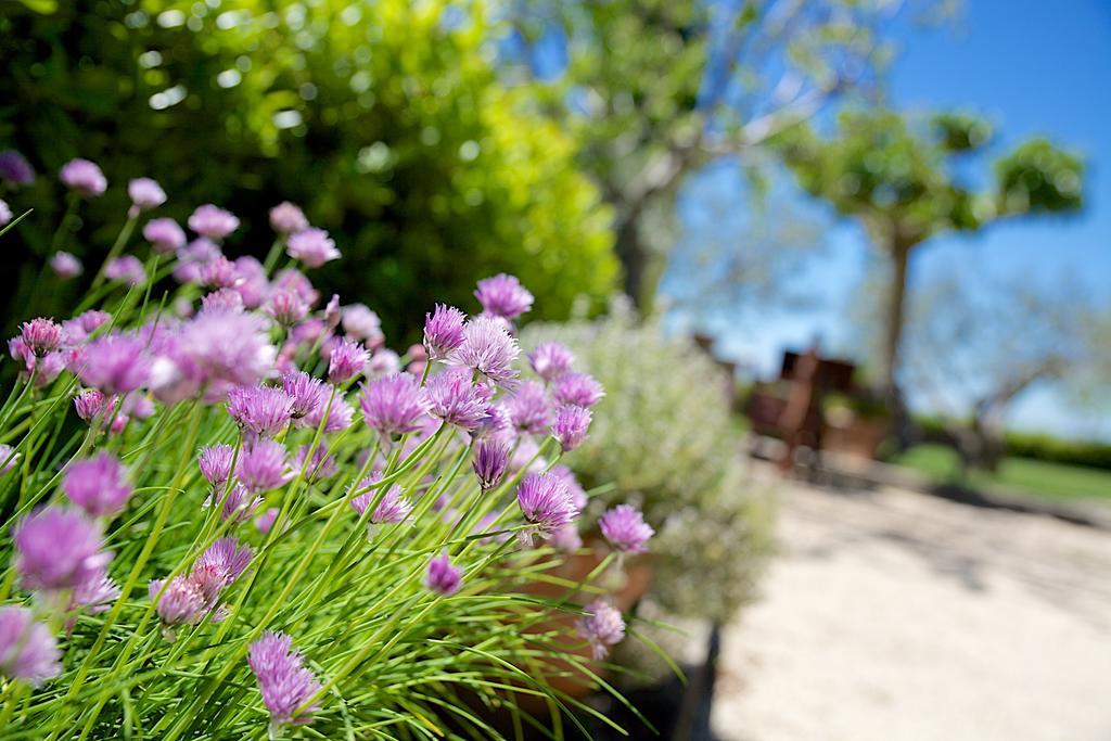 Agriturismo Le Colombe Asyż Zewnętrze zdjęcie