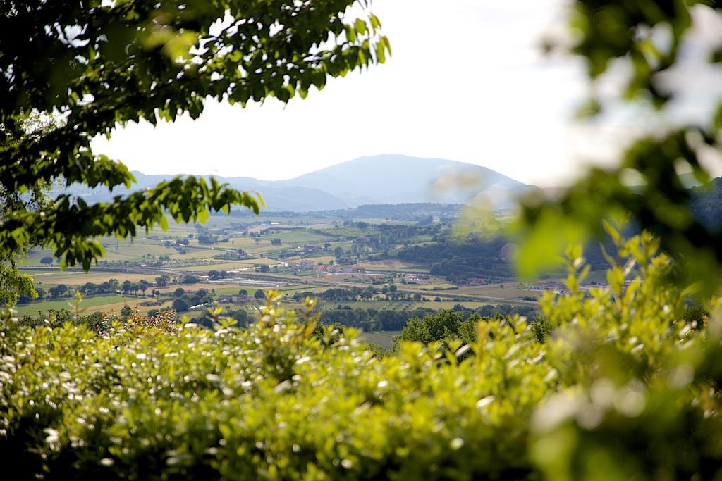 Agriturismo Le Colombe Asyż Zewnętrze zdjęcie