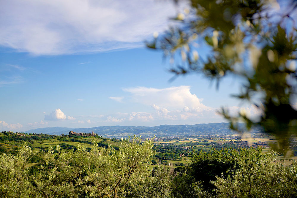 Agriturismo Le Colombe Asyż Zewnętrze zdjęcie