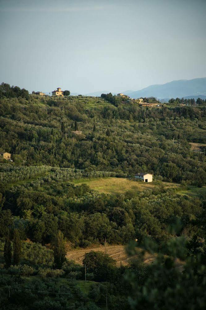 Agriturismo Le Colombe Asyż Zewnętrze zdjęcie