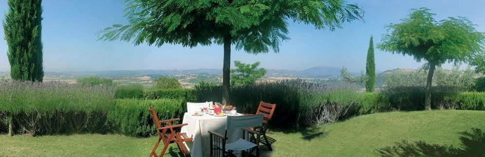Agriturismo Le Colombe Asyż Zewnętrze zdjęcie